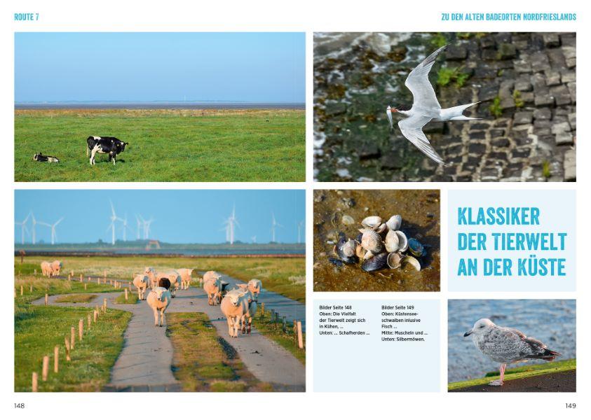 Nordseeküste mit dem Wohnmobil