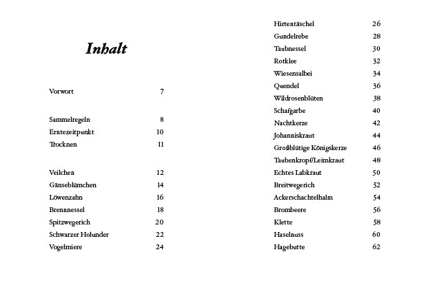 Das kleine Buch: Kräuterwanderung mit Kindern