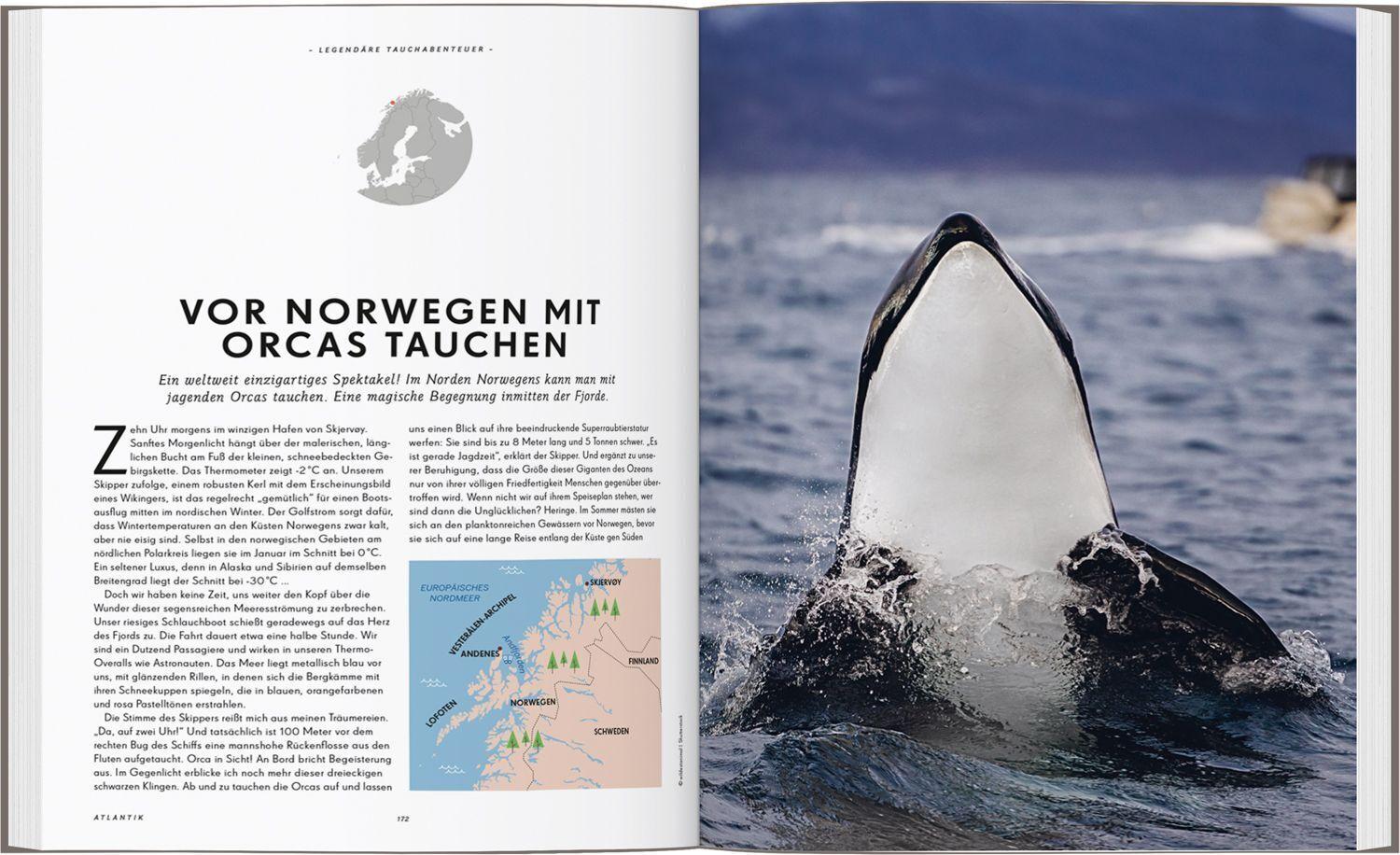 LONELY PLANET Bildband Legendäre Tauchabenteuer
