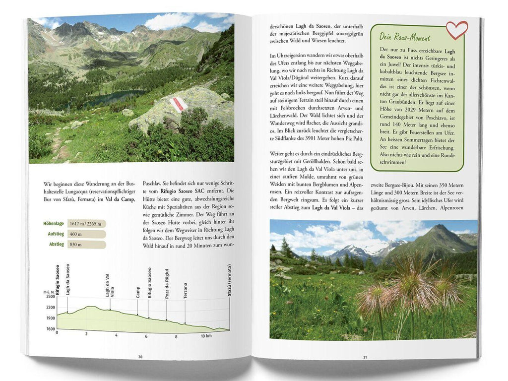Kümmerly+Frey Raus und Wandern Panoramawege - Wanderführer
