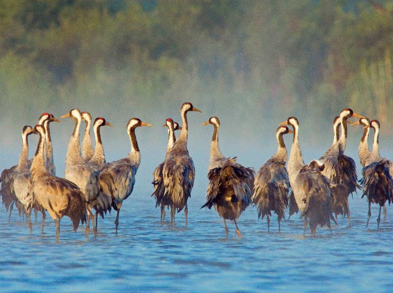 Müritz-Nationalpark