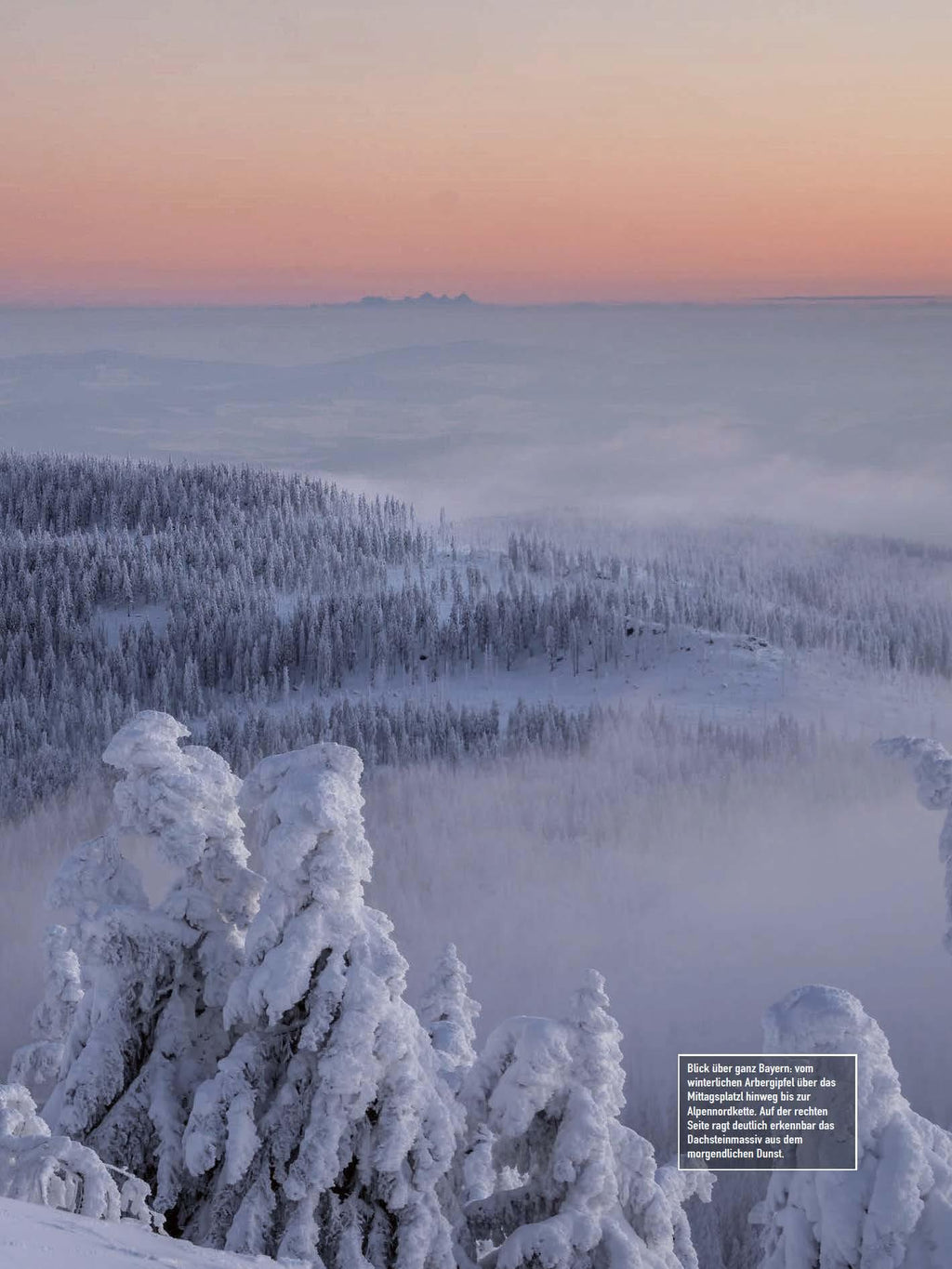 Faszination Bayerischer Wald