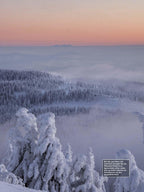 Faszination Bayerischer Wald