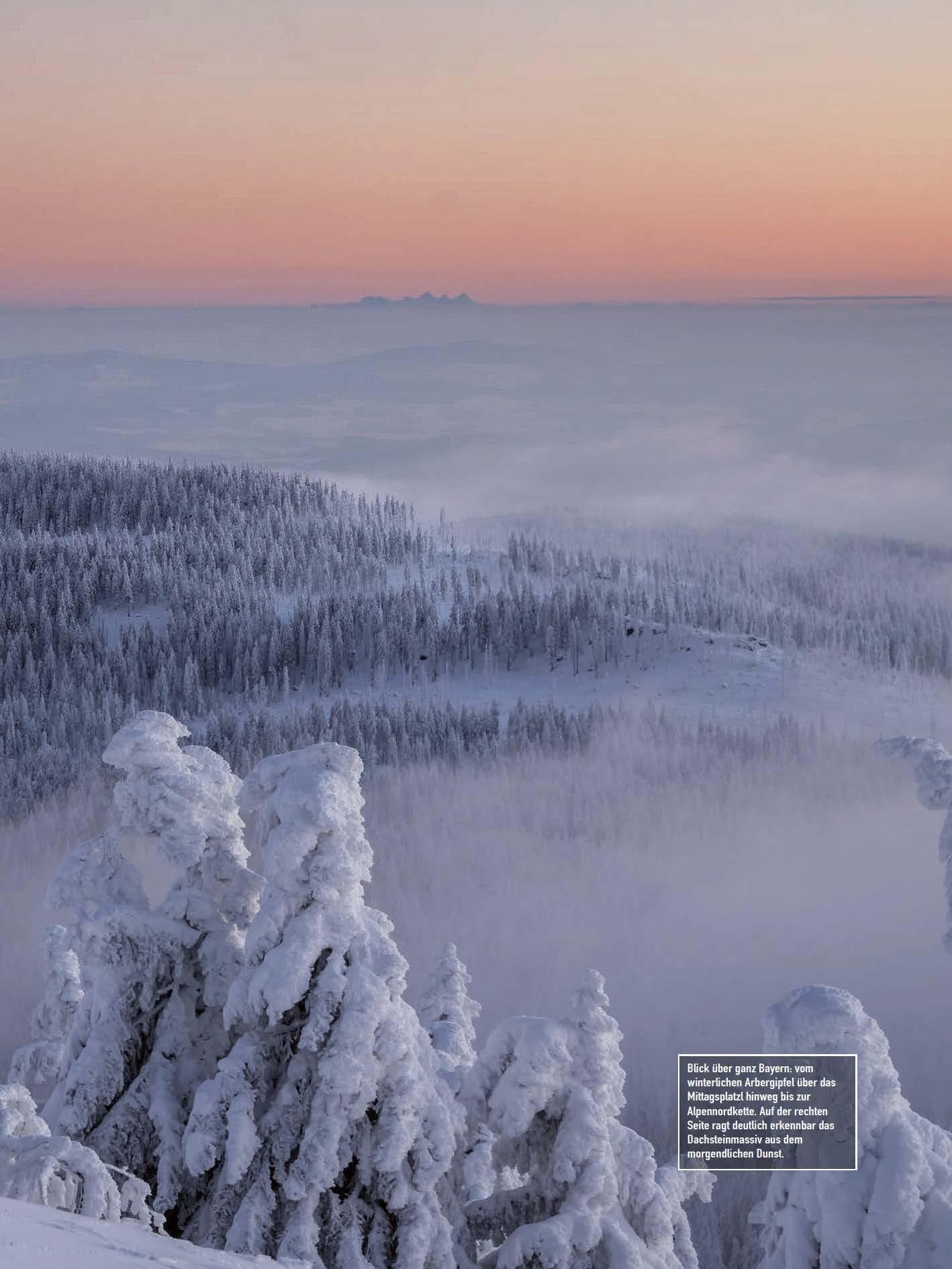 Faszination Bayerischer Wald