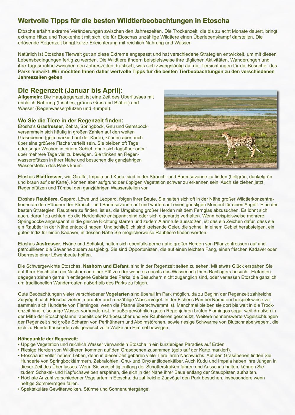 ETOSCHA KARTE (Etosha National Park, Namibia) mit Fotogalerie