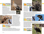 Safari-Reiseführer Gambia & Senegal