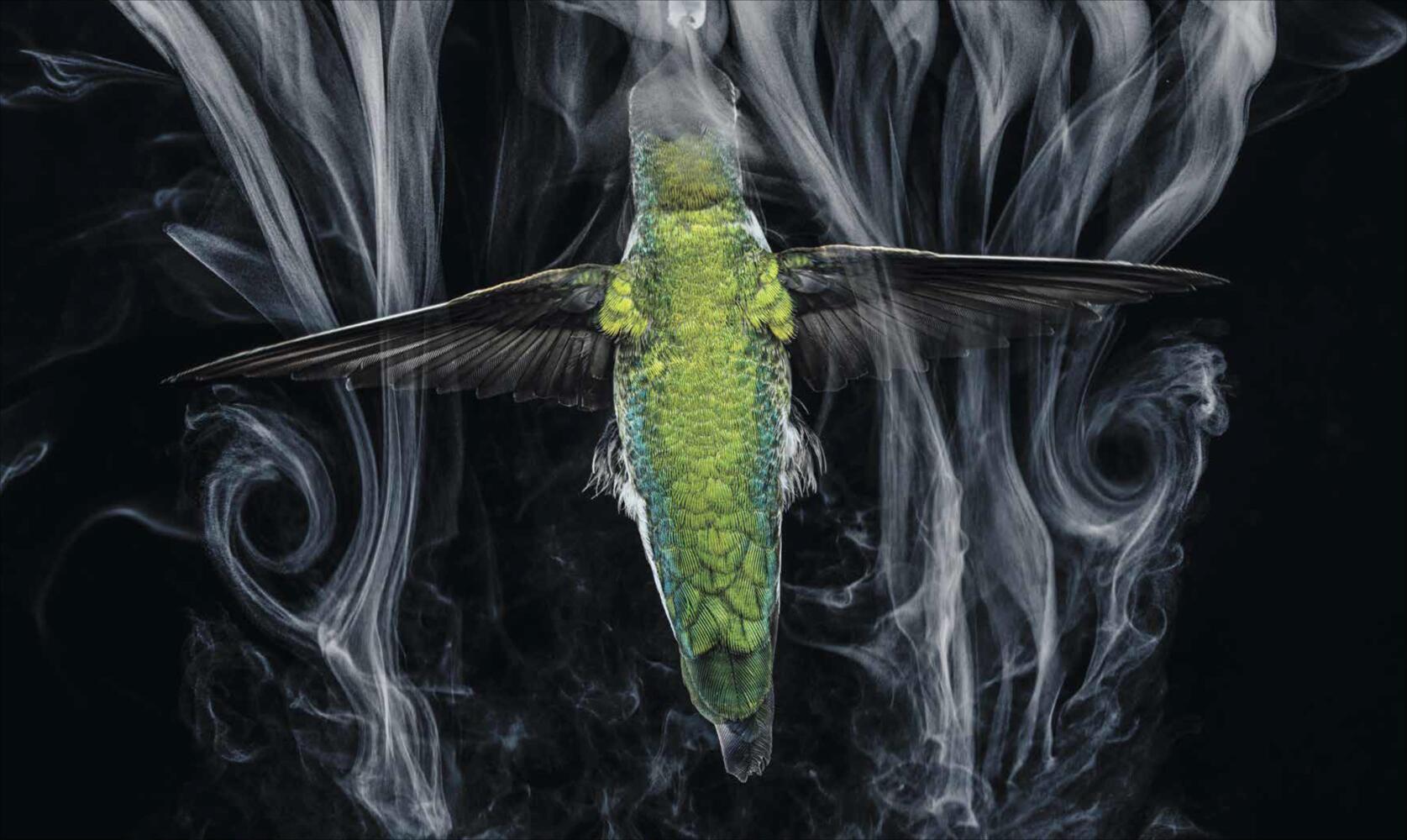 National Geographic Verborgene Welten - Einzigartige Fotografien