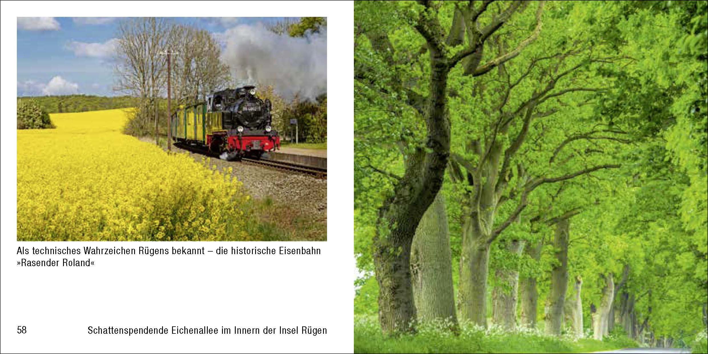 Mecklenburg-Vorpommern - Book To Go