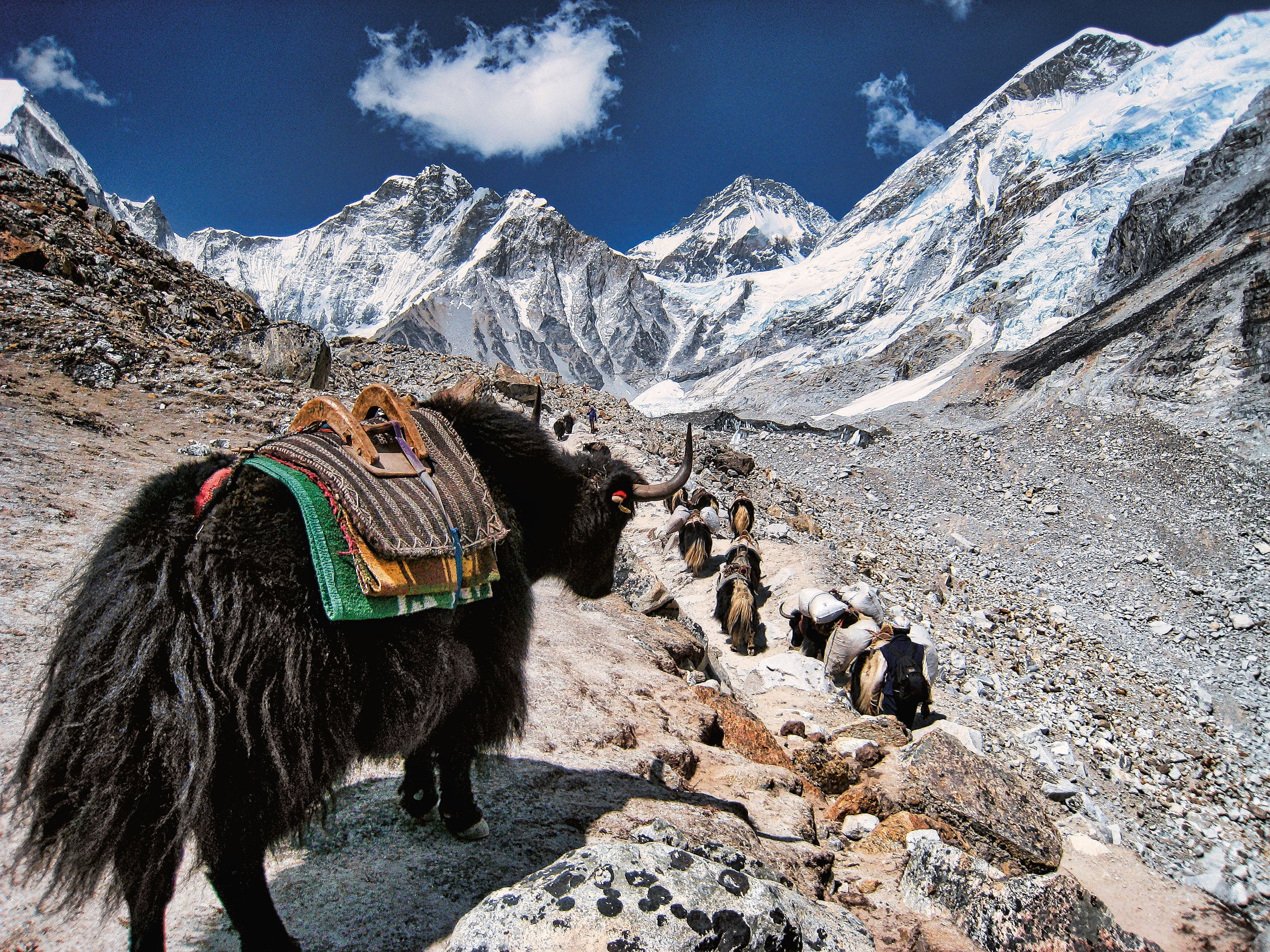 The Great Himalaya Trail