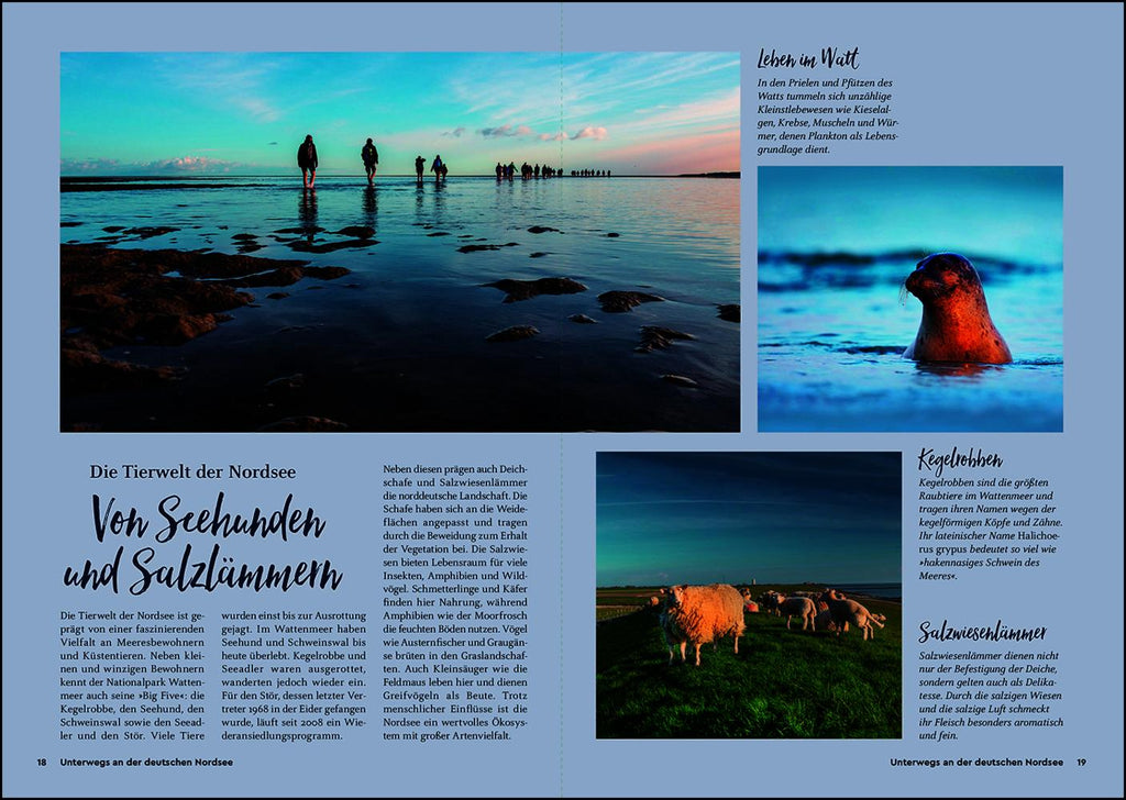 KUNTH Unterwegs an der deutschen Nordsee