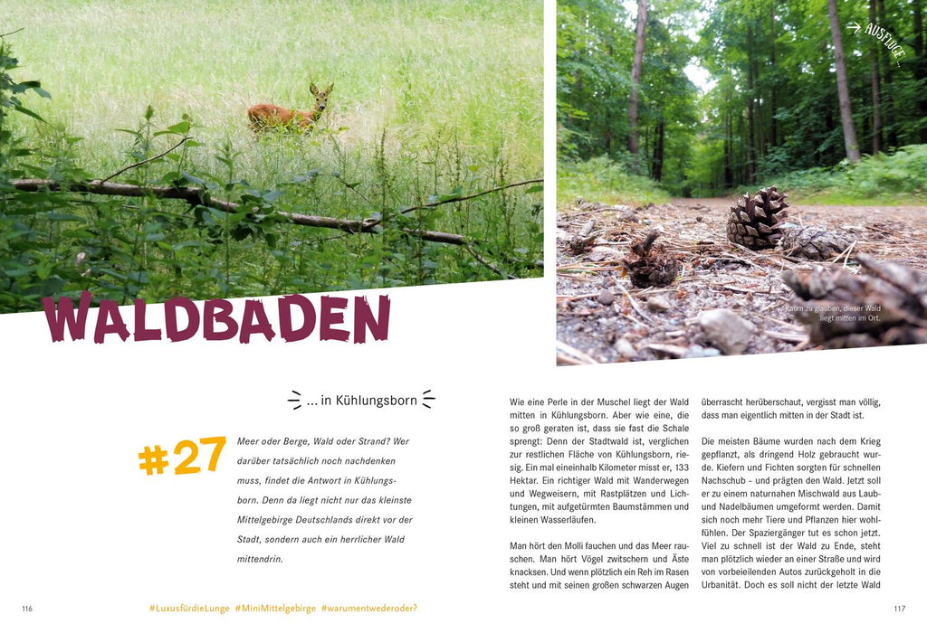 52 kleine & große Eskapaden in Mecklenburg-Vorpommern an der Ostsee