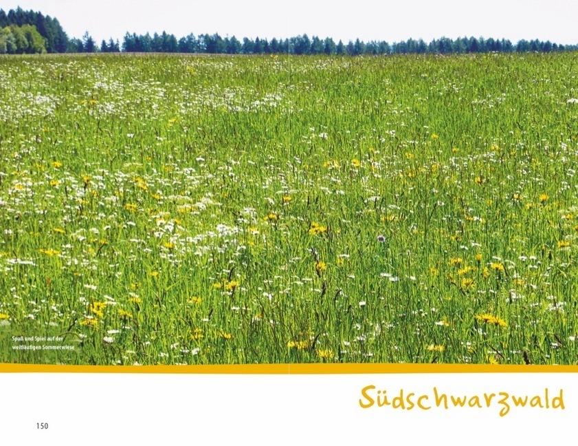 Wanderspaß mit Kindern - Schwarzwald
