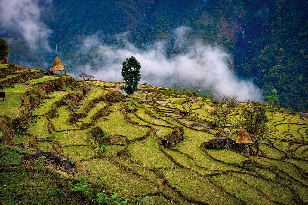 The Great Himalaya Trail