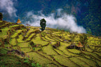 The Great Himalaya Trail