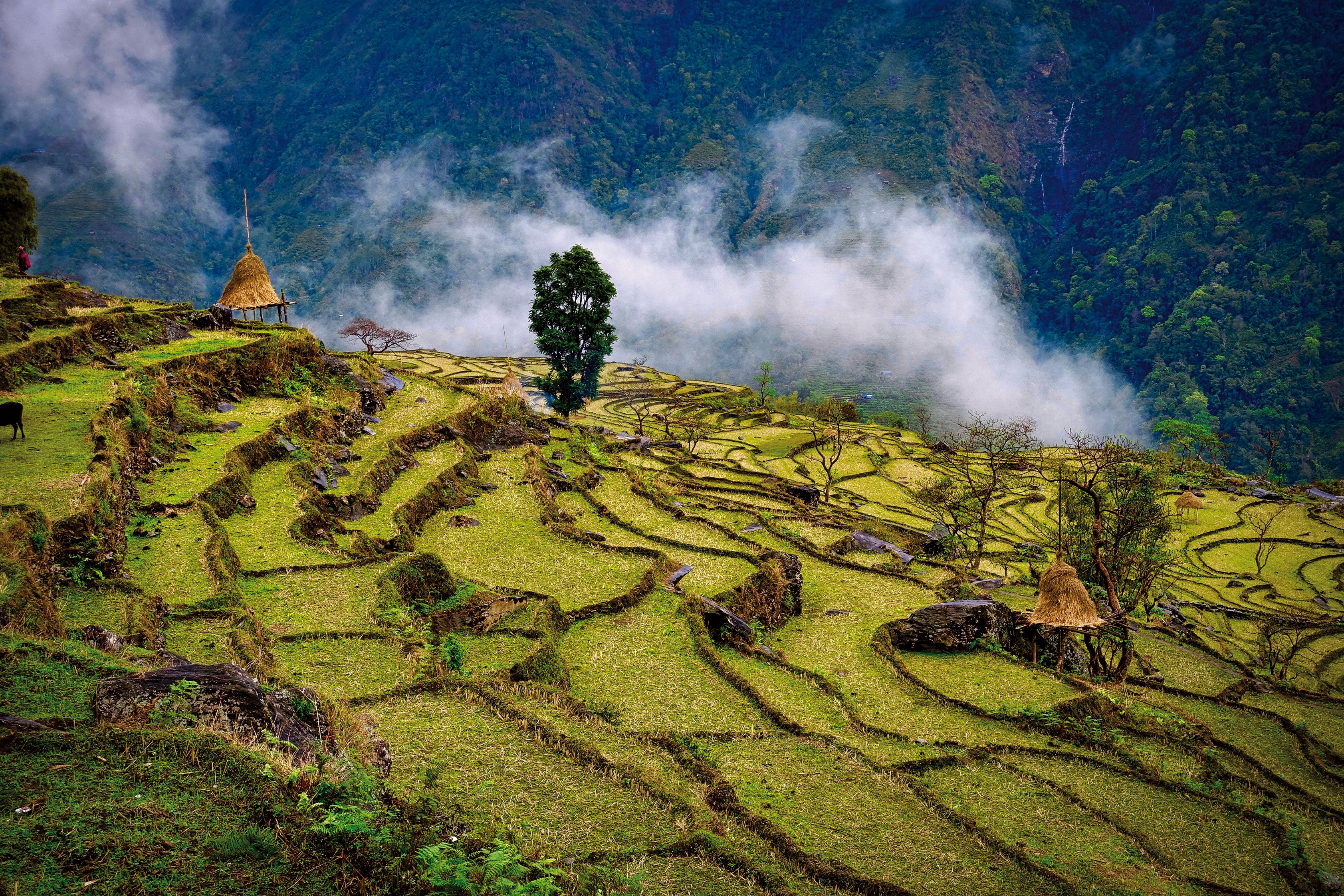 The Great Himalaya Trail