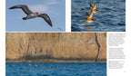 NATURERLEBNIS MALLORCA