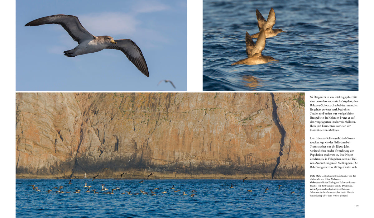 NATURERLEBNIS MALLORCA