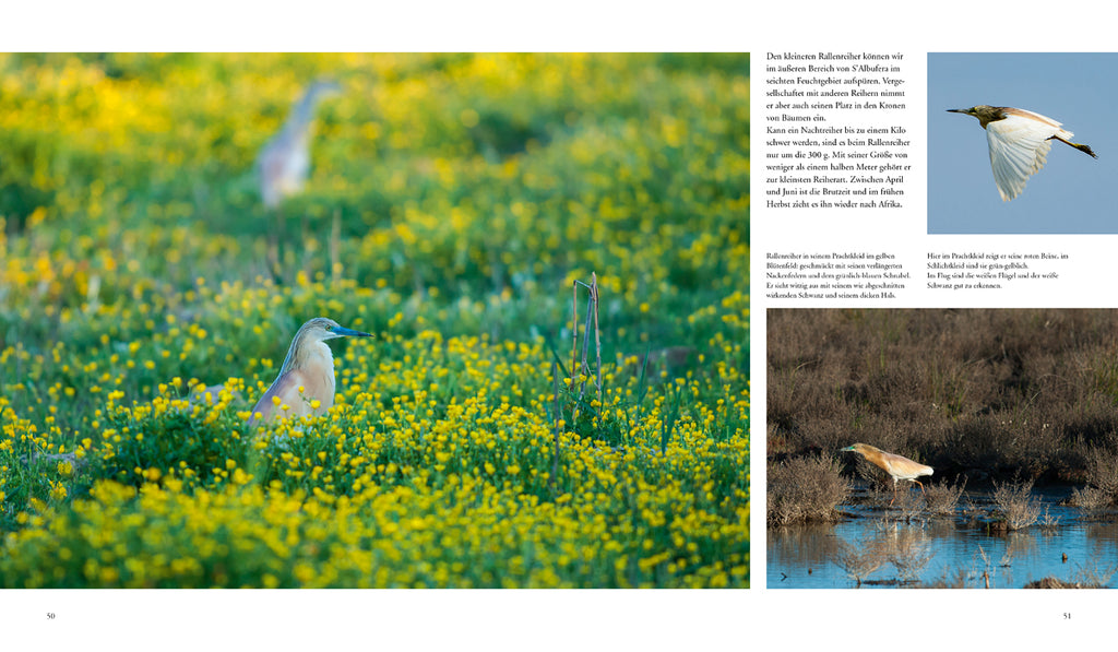 NATURERLEBNIS MALLORCA