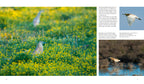 NATURERLEBNIS MALLORCA
