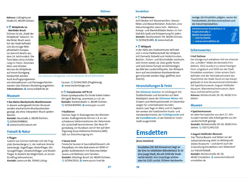 Münsterland entdecken! 1000 Freizeittipps : Natur, Kultur, Sport, Spaß