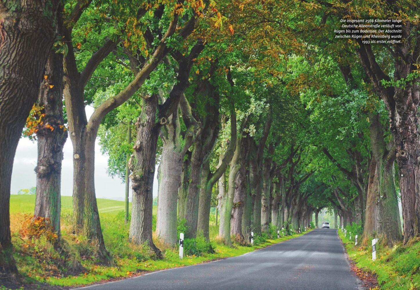ADAC Roadtrips Mecklenburg-Vorpommern mit Ostseeküste