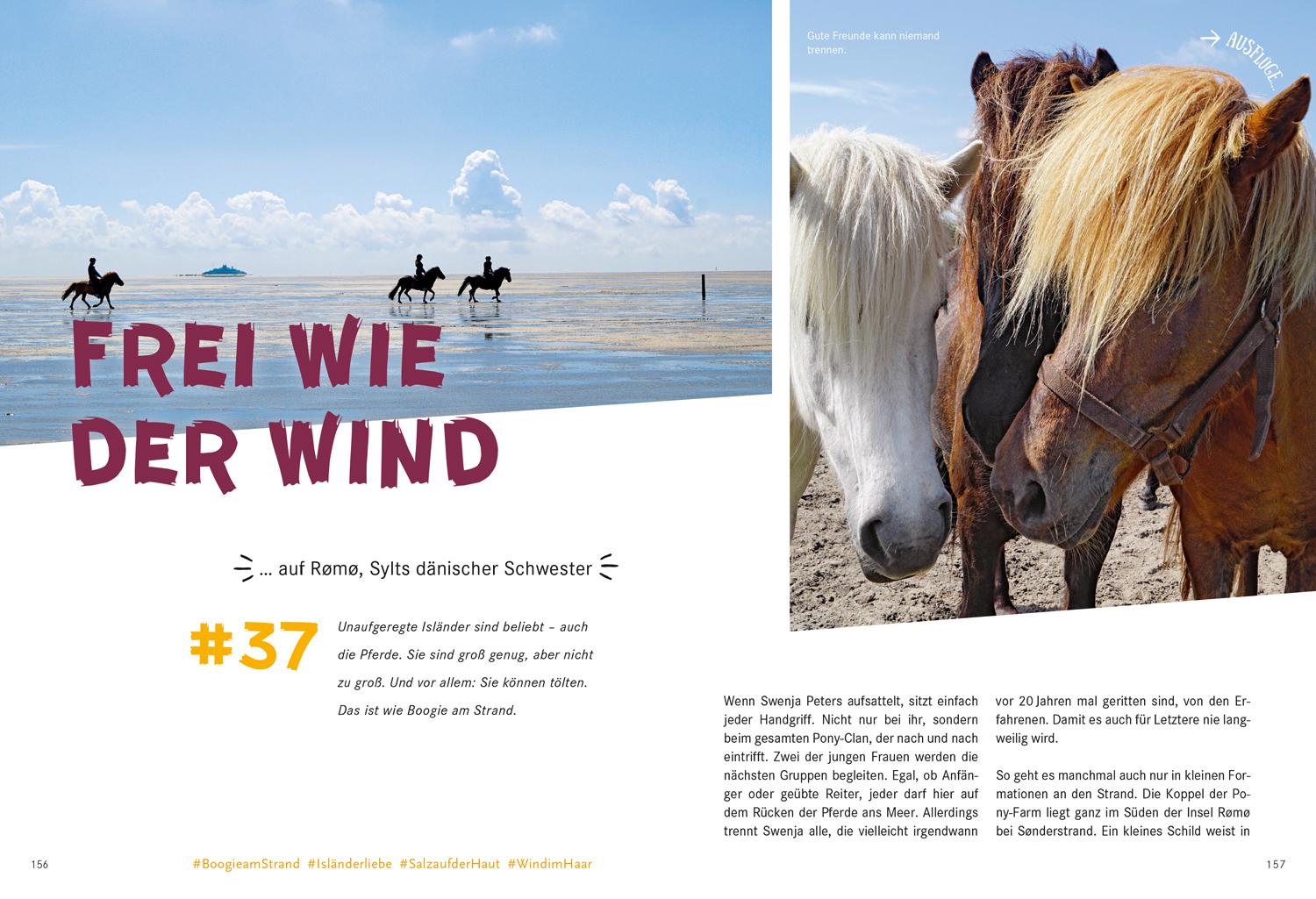 52 kleine & große Eskapaden in Schleswig-Holstein an der Nordsee