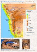 Das komplette Kartenset NAMIBIA Plus (4-teilig)