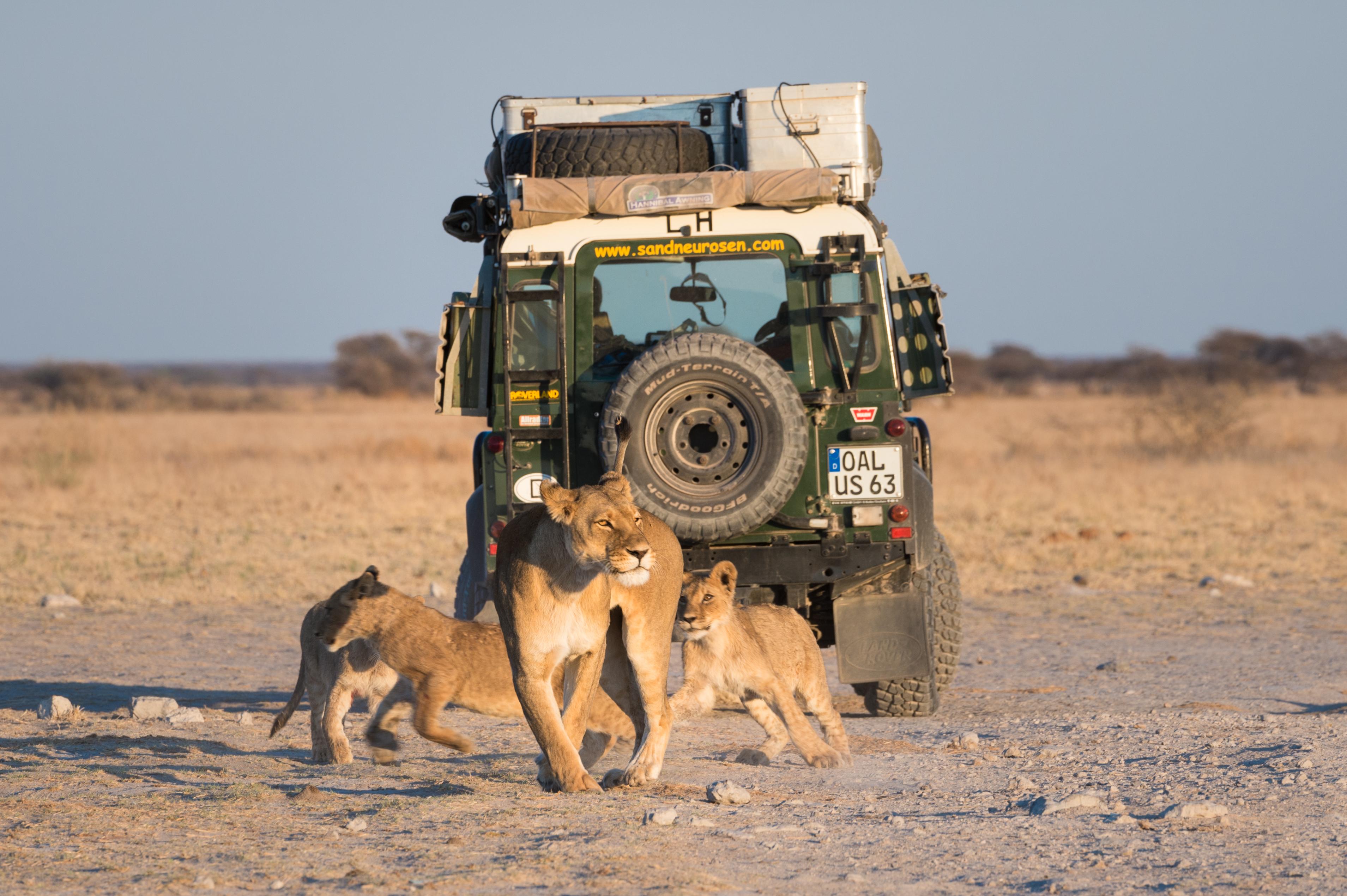 KALAHARI: Alle Parks der Kalahari