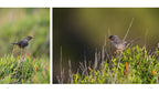NATURERLEBNIS MALLORCA
