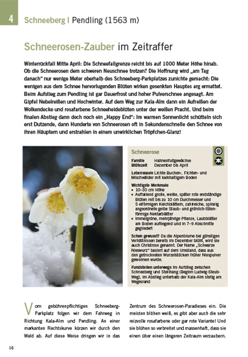 Die schönsten Blüten-Wanderungen in Oberbayern & Tirol 02