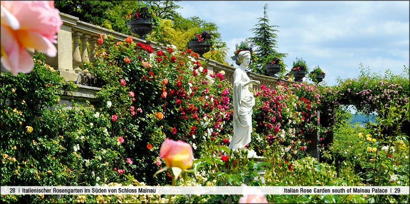 Bodensee / Lake Constance - Book To Go