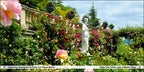 Bodensee / Lake Constance - Book To Go