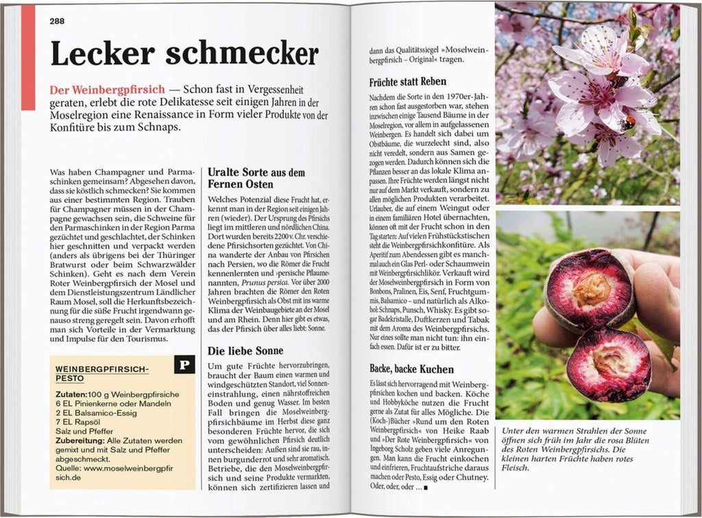 DUMONT Reise-Taschenbuch Reiseführer Mosel