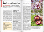 DUMONT Reise-Taschenbuch Reiseführer Mosel