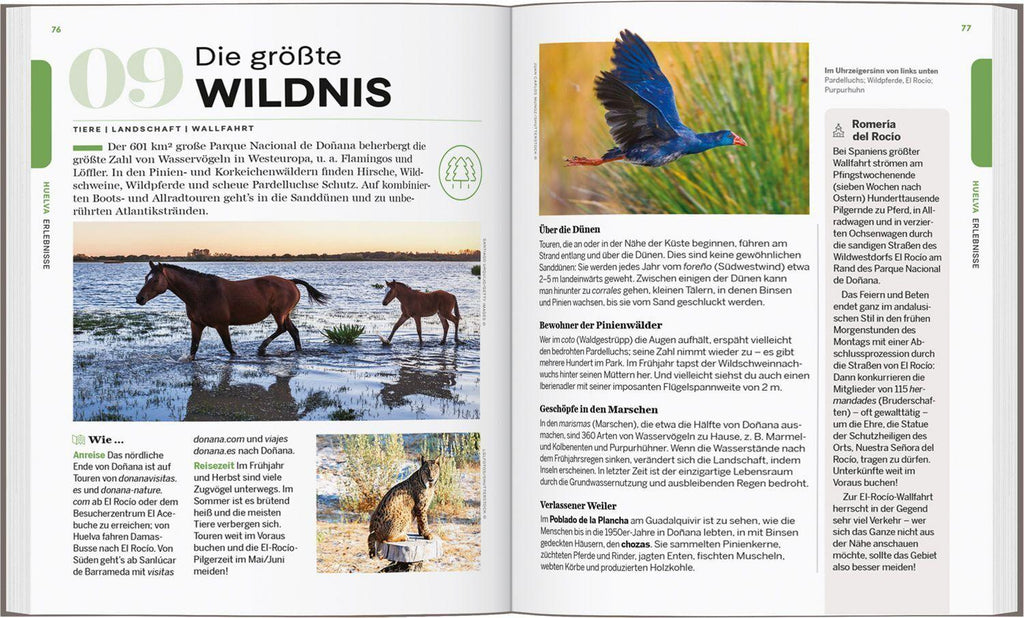 LONELY PLANET Reiseführer Entdecke Andalusien