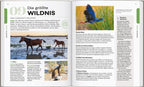 LONELY PLANET Reiseführer Entdecke Andalusien