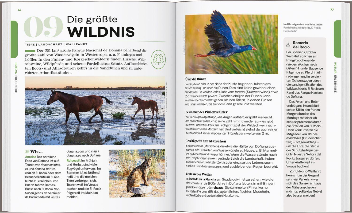 LONELY PLANET Reiseführer Entdecke Andalusien