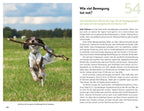 Berning, T: 99 x Wohnmobilurlaub mit Hund