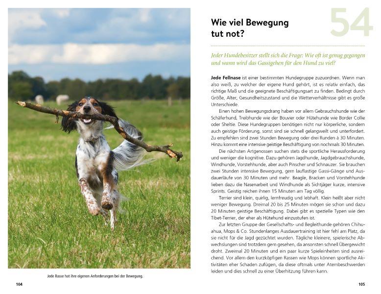 Berning, T: 99 x Wohnmobilurlaub mit Hund