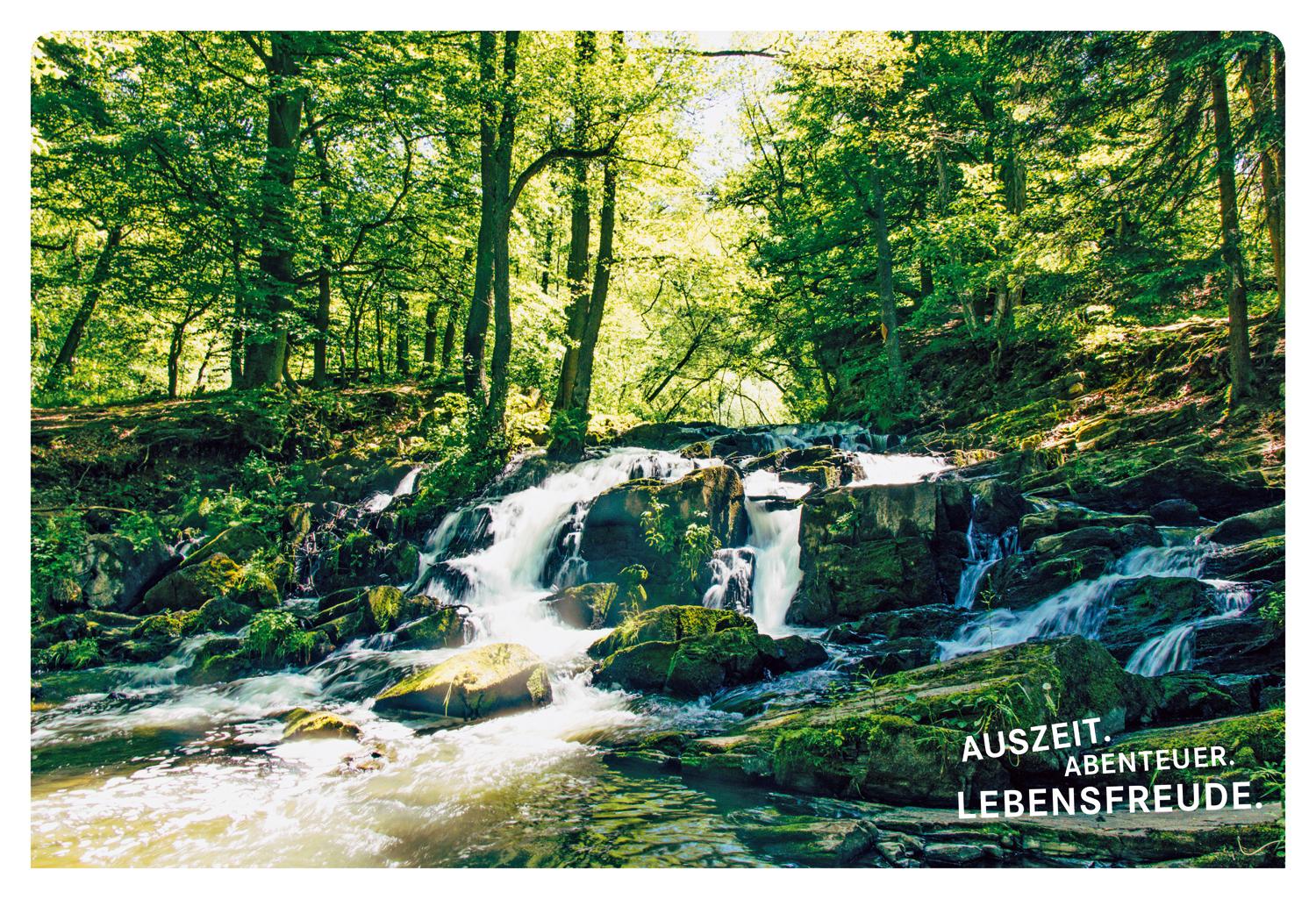 52 kleine & große Eskapaden rund um Harz