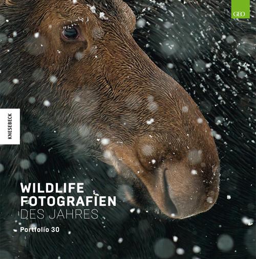 Wildlife Fotografien des Jahres - Portfolio 30.