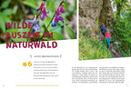 52 kleine & große Eskapaden im Naturpark Altmühltal