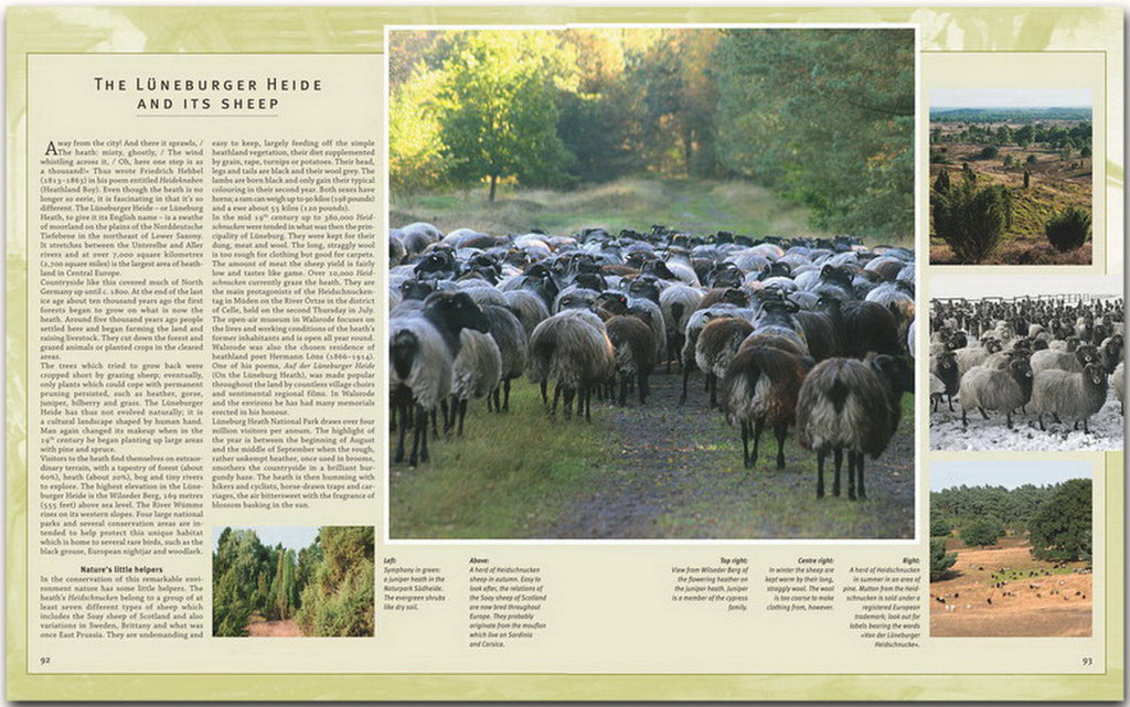 Journey through Lower Saxony