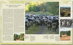 Journey through Lower Saxony