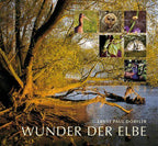 Wunder der Elbe