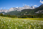 NATURJUWEL SALZKAMMERGUT