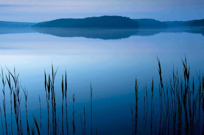 Müritz-Nationalpark
