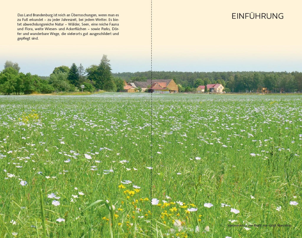 Reiseführer Brandenburg - Tagestouren
