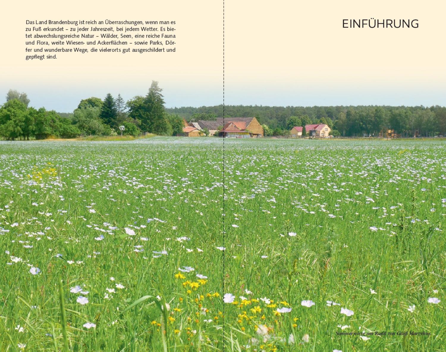Reiseführer Brandenburg - Tagestouren