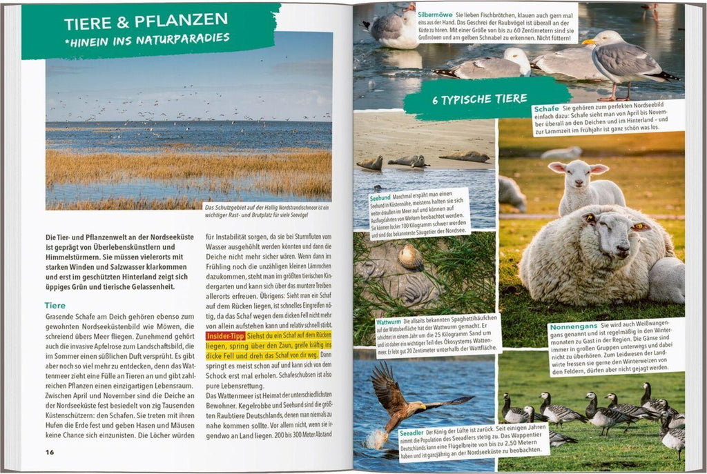 MARCO POLO OUTDOOR GUIDE Reiseführer Nordseeküste Schleswig-Holstein